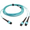 Tripp Lite Mmf Fbr Optic Cable 24F Mtp/Mp, N846D-05M-24BAQ N846D-05M-24BAQ
